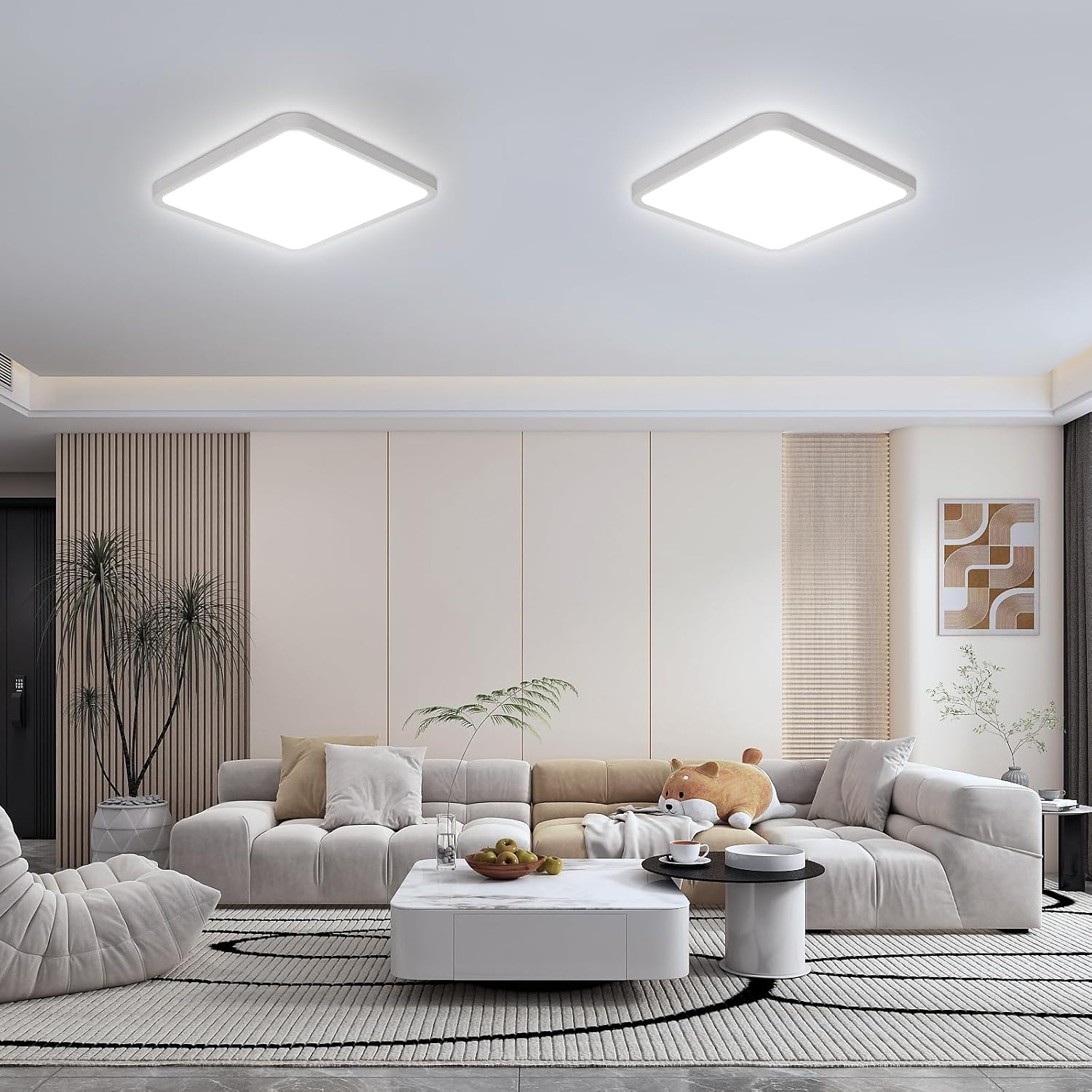 Ceiling Light - White Plastic Frame, White Light