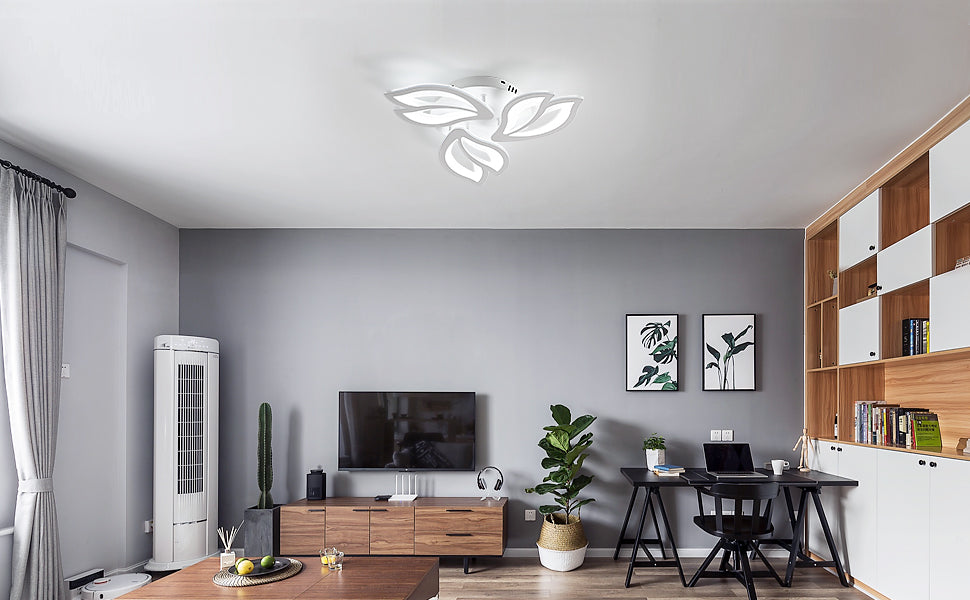Ceiling Light - White Acrylic Frame, White Light