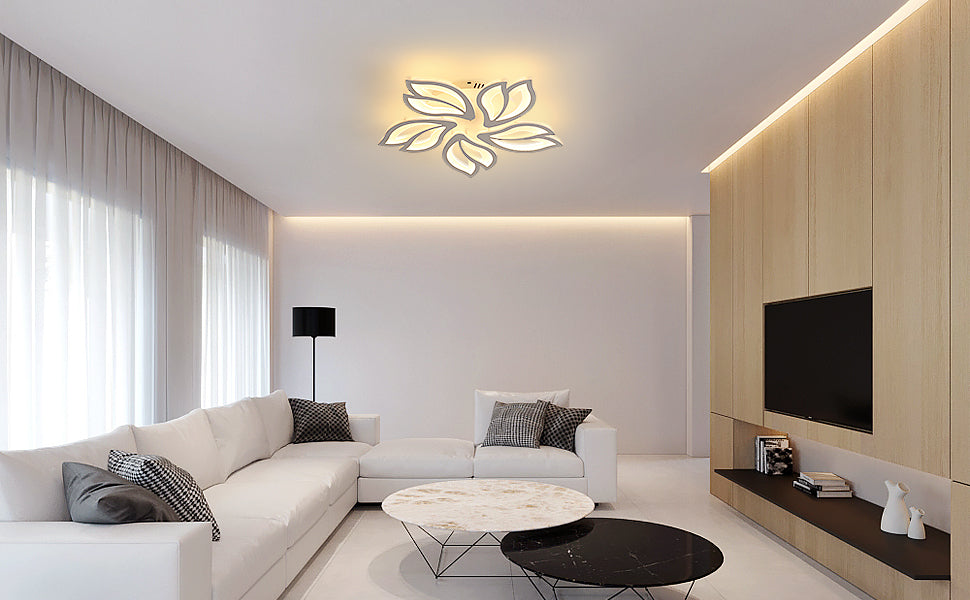 Ceiling Light - White Acrylic Frame, Tunable and Dimmable