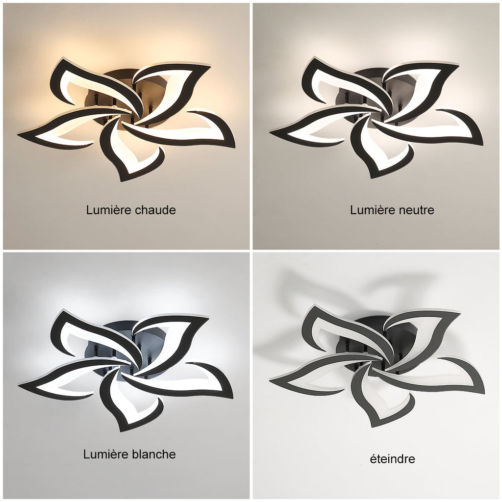 Ceiling Light - Black Acrylic Frame, Tunable and Dimmable