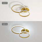 Ceiling Light - Gold Acrylic Frame, White Light