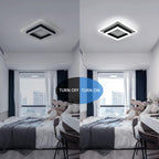 Ceiling Light - Black & White Acrylic Frame, White Light