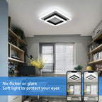 Ceiling Light - Black & White Acrylic Frame, White Light